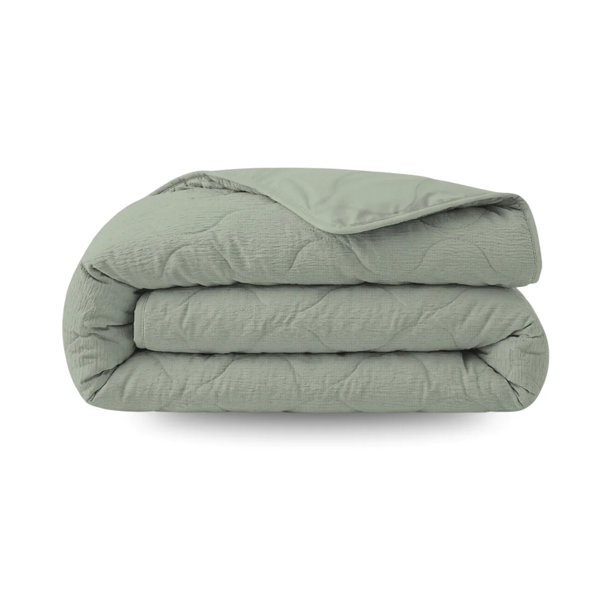 Die neuesten Zelesta-Produkte